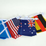 International Bunting