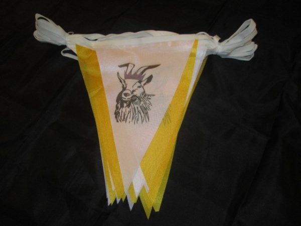 Custom Printed Bunting