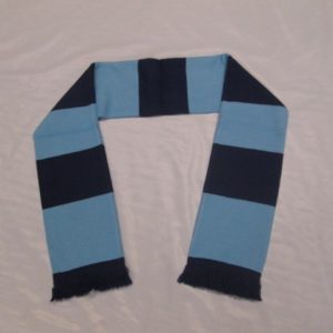 Blue & Navy Scarf