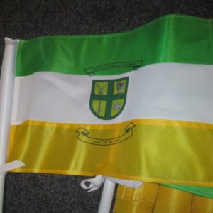 Custom GAA Pitch Flags