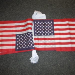 USA Bunting