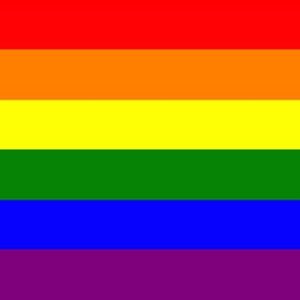 Gay Pride Handwaver Flag