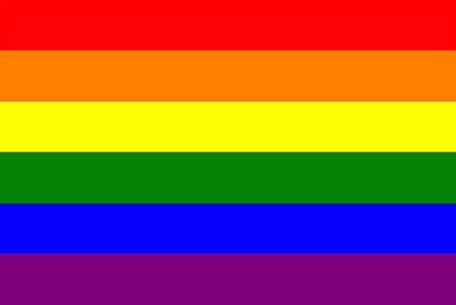 Gay Pride Handwaver Flag