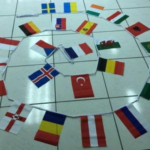 Euro Bunting 8metre